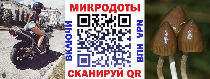 Псилоцибиновые грибы GOLDEN TEACHER даркнет сайт Демидов
